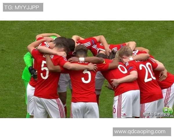 法国与威尔士精彩对决录像回放分析与精彩瞬间集锦 法国与威尔士精彩对决录像回放分析与精彩瞬间集锦