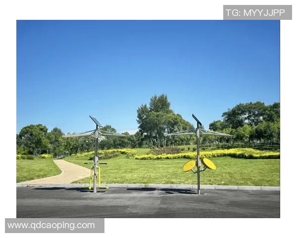 创新室外体育健身器材公司助力全民健身提升生活品质与健康水平